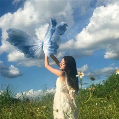 马兰花